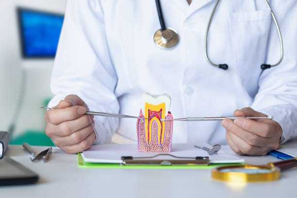 Best Weekend Emergency Dentist in Odon, IN